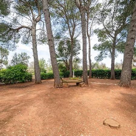 Casa Serena With Pine Grove, Jacuzzi & Bbq Βίλα San Vito dei Normanni